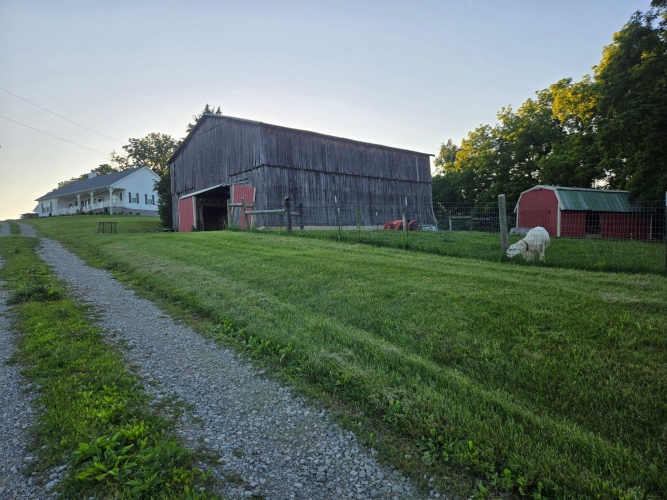 Listing Image 43