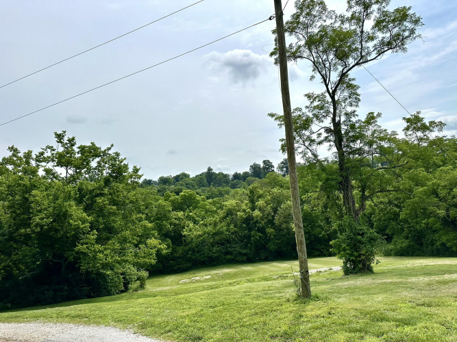 Listing Image 50