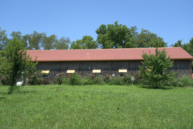 Listing Image 3
