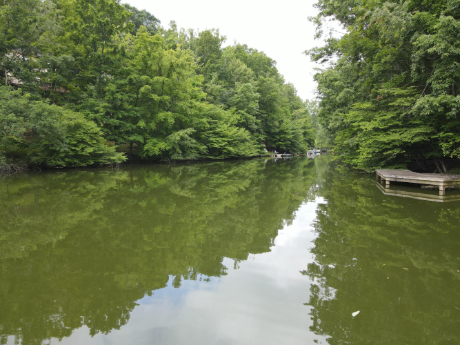 Listing Image 69