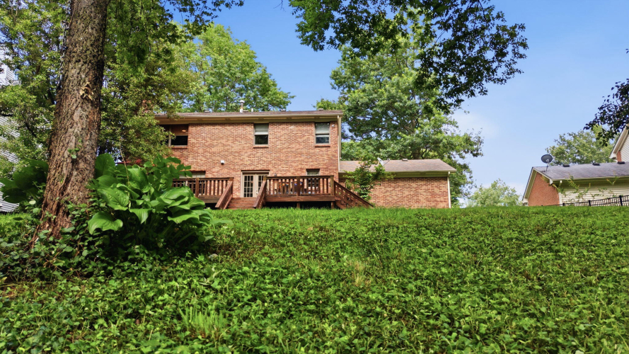 Listing Image 68