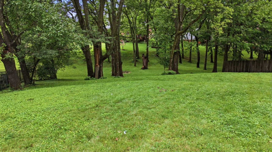 Listing Image 77