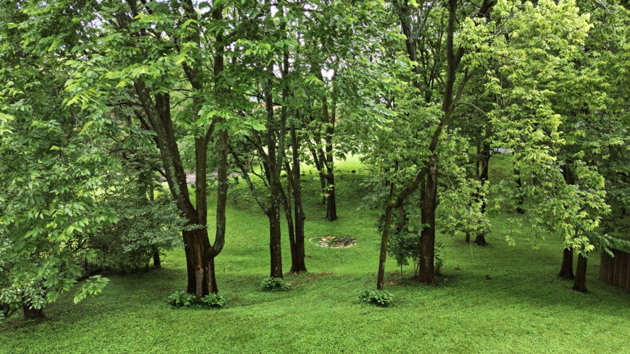 Listing Image 79