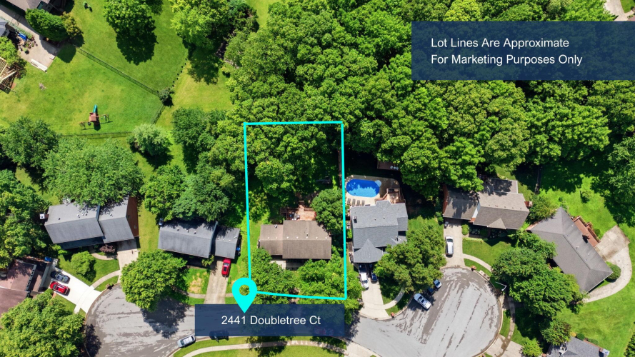 Listing Image 85