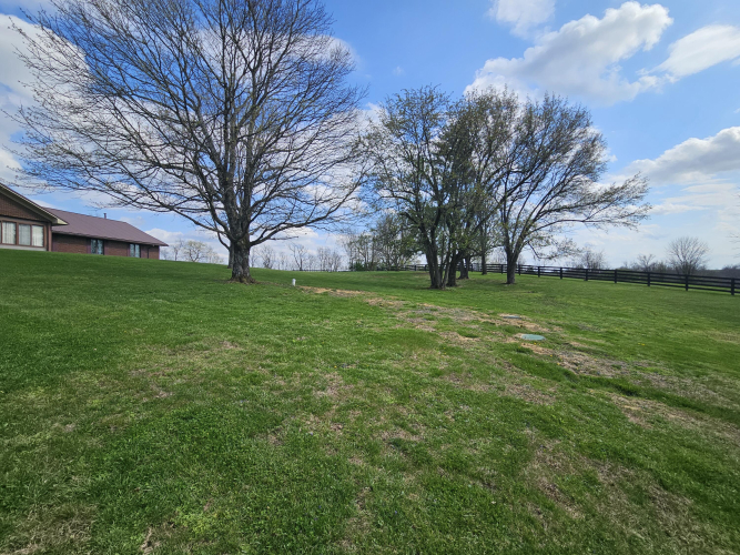 Listing Image 63