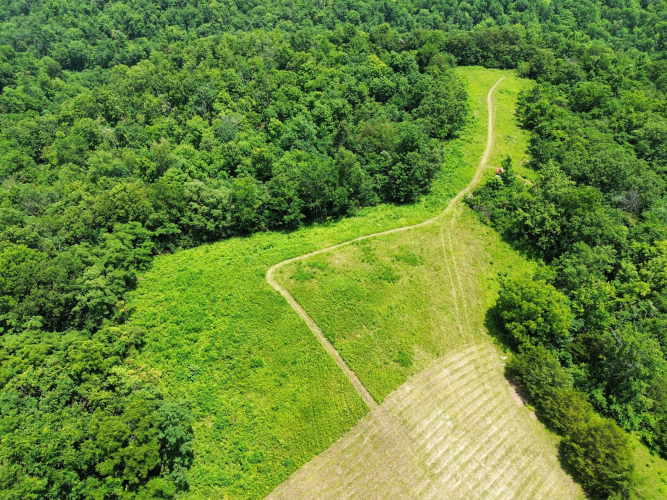 Listing Image 13