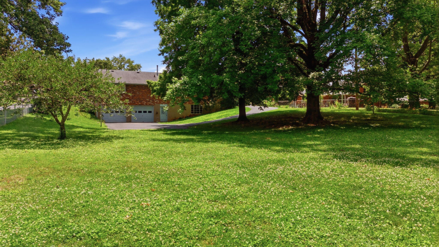 Listing Image 49