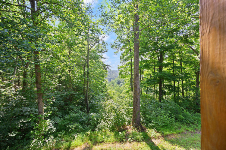 Listing Image 45