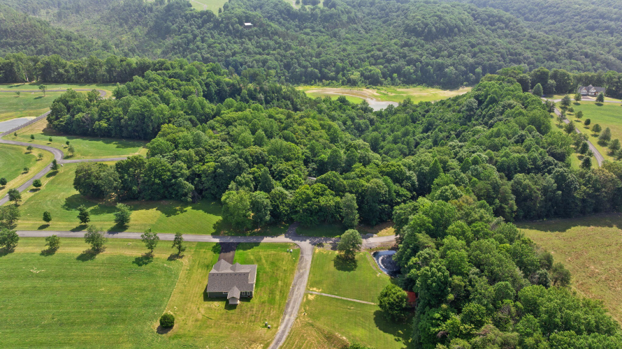 Listing Image 64