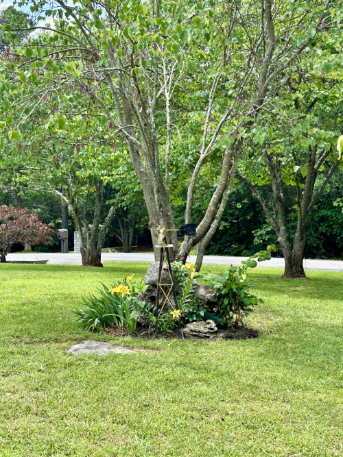 Listing Image 12