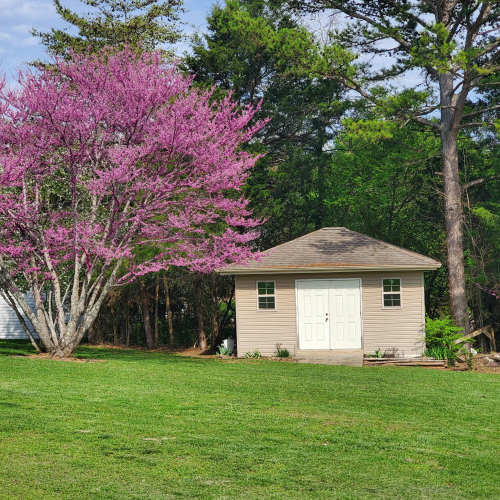 Listing Image 22