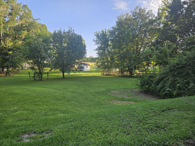 Listing Image 29