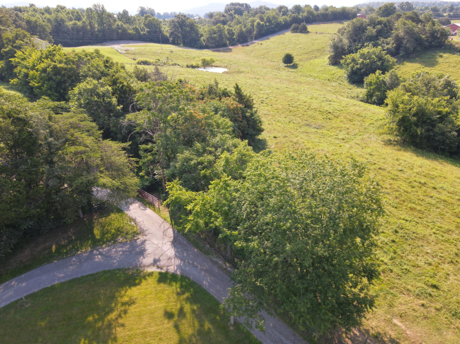 Listing Image 18