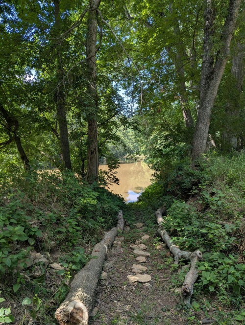Listing Image 23