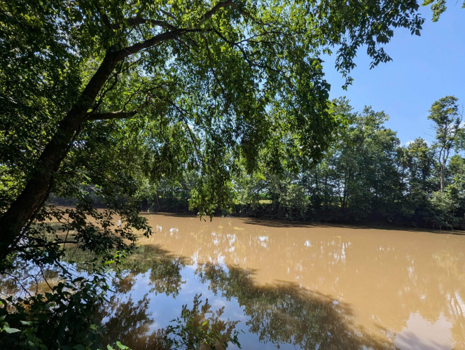 Listing Image 24