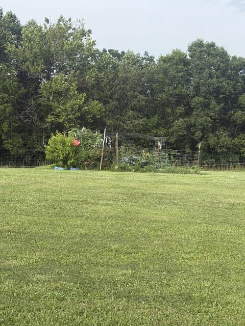 Listing Image 51