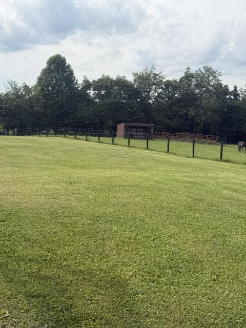Listing Image 55