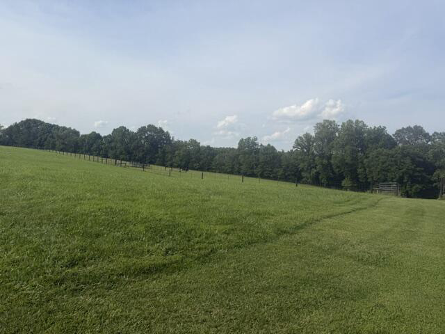Listing Image 59