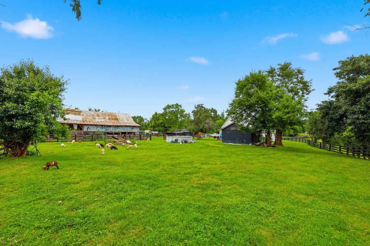 Listing Image 36