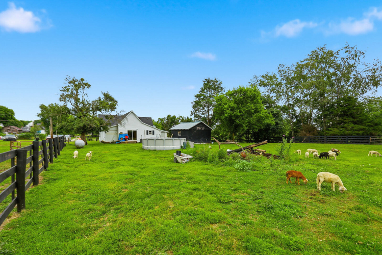 Listing Image 38
