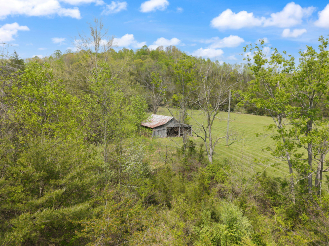 Listing Image 39