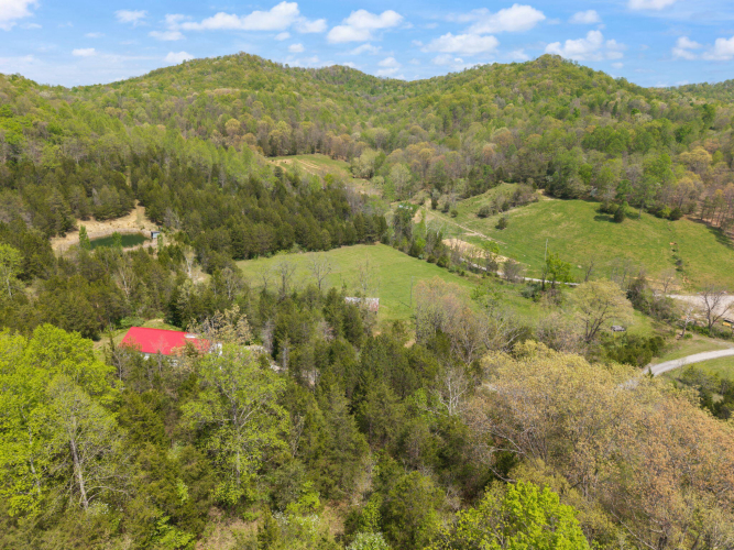 Listing Image 53
