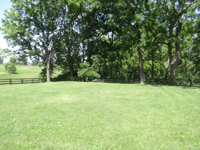 Listing Image 17