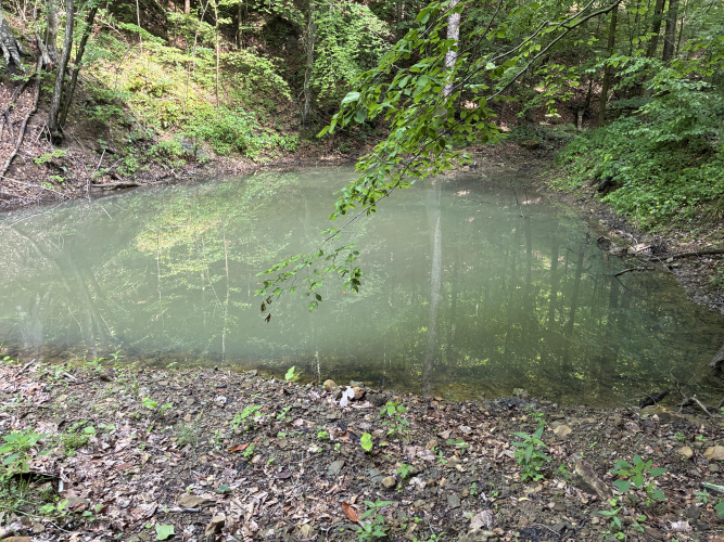 Listing Image 15