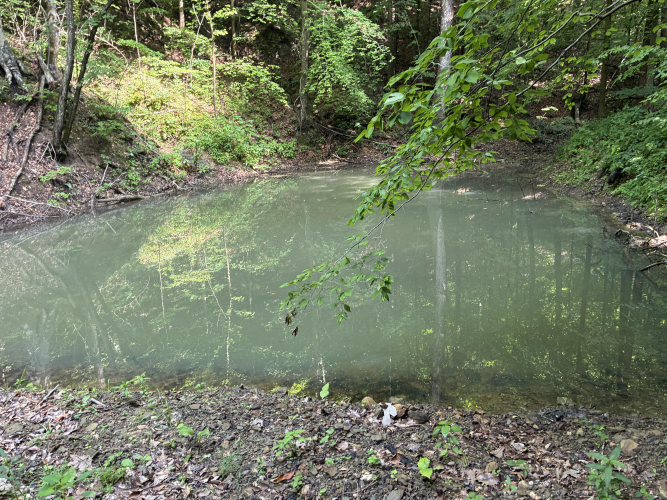 Listing Image 16