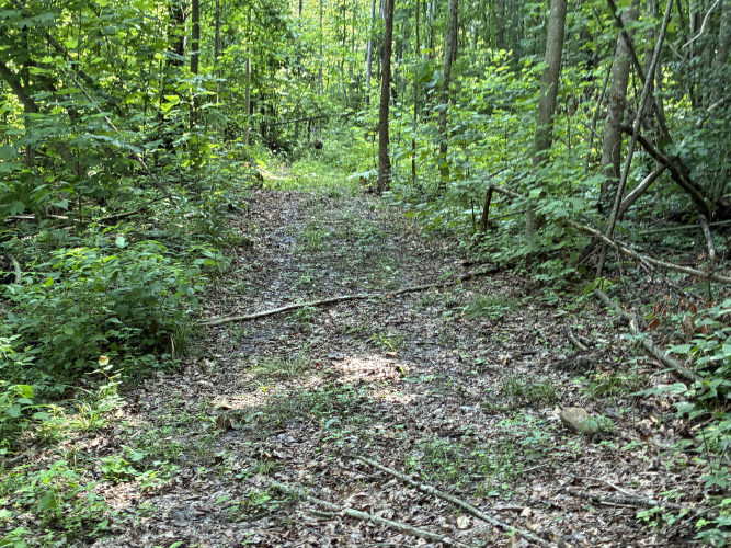 Listing Image 20