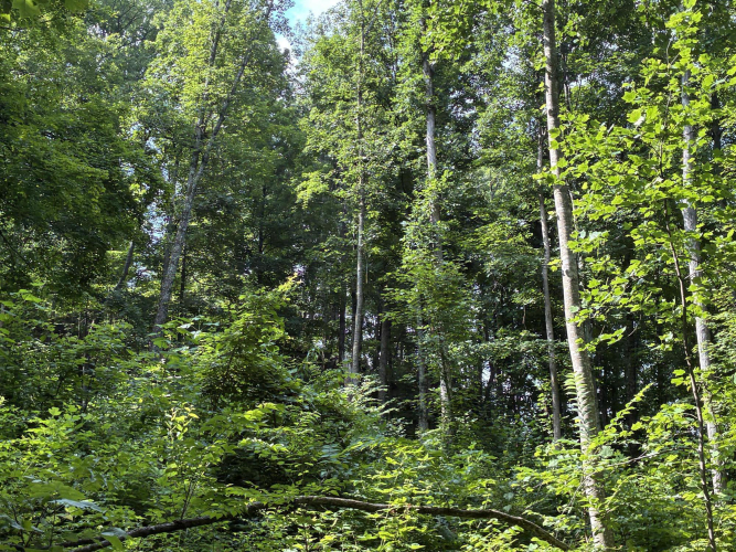 Listing Image 21