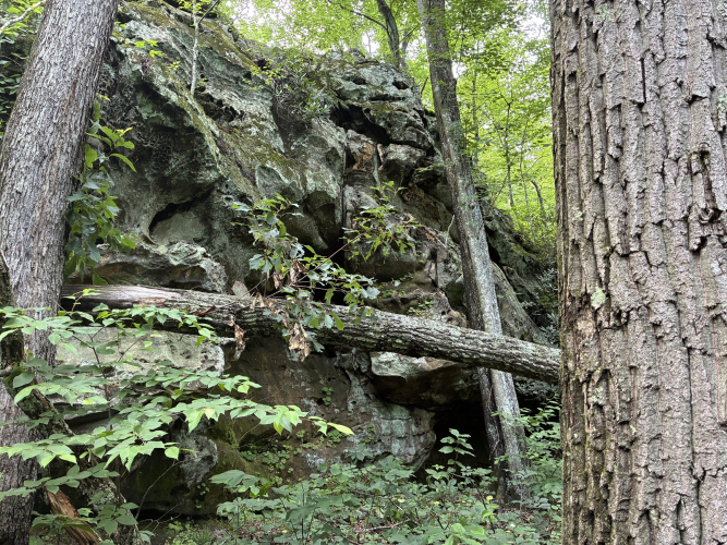 Listing Image 4