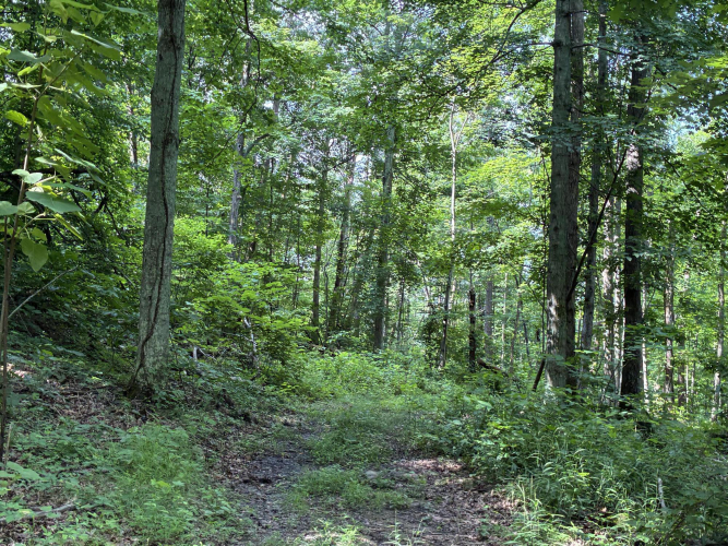 Listing Image 35