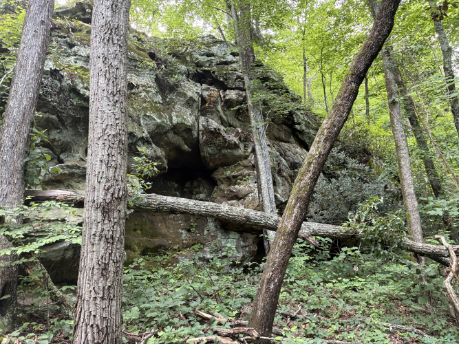 Listing Image 5