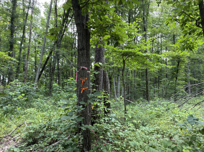 Listing Image 8