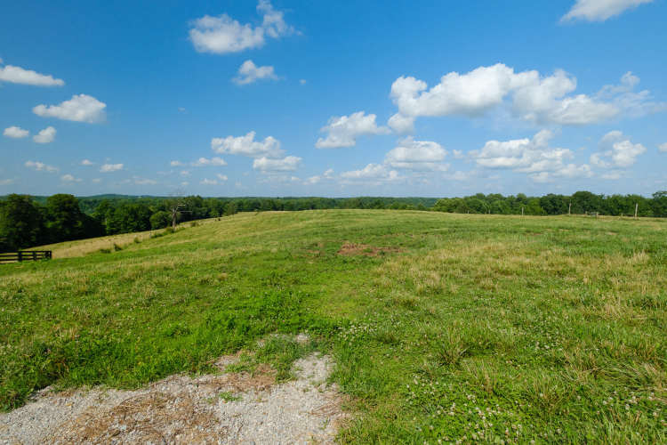 Listing Image 43