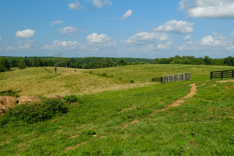 Listing Image 45