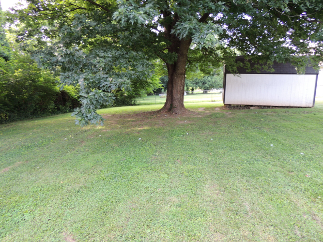 Listing Image 25