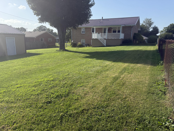 Listing Image 21