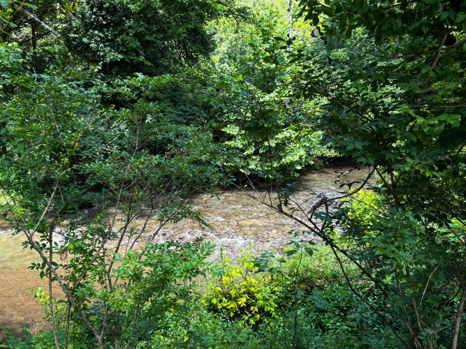 Listing Image 45