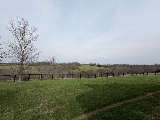 Listing Image 87