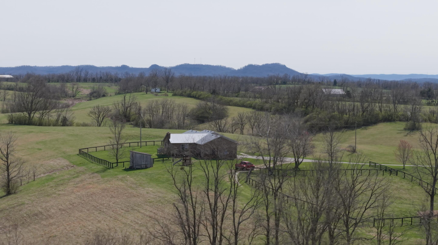 Listing Image 98