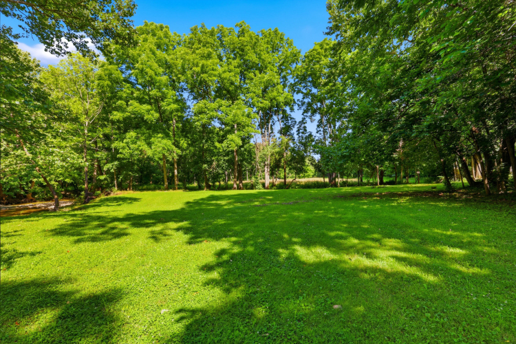 Listing Image 103