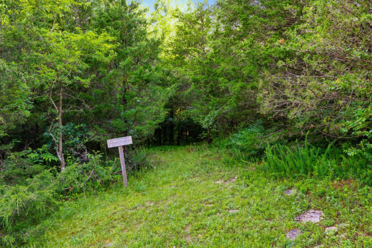 Listing Image 100