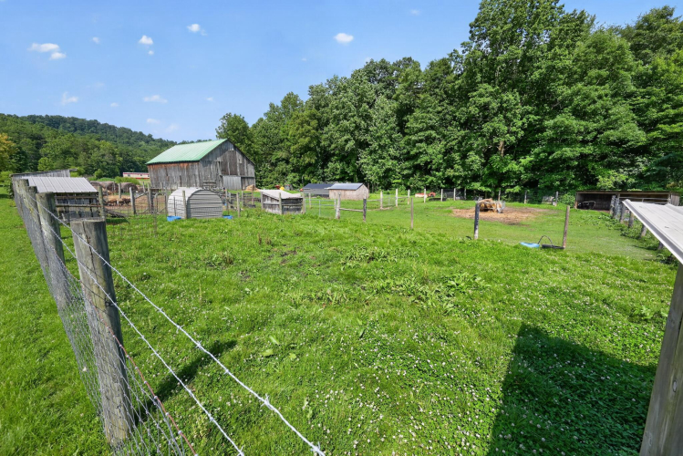 Listing Image 20