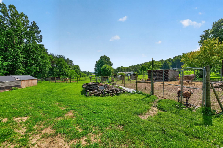 Listing Image 29