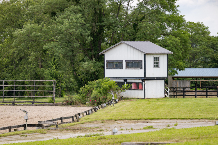 Listing Image 114