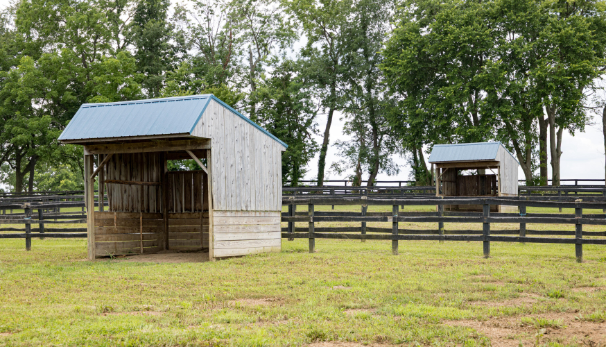 Listing Image 115