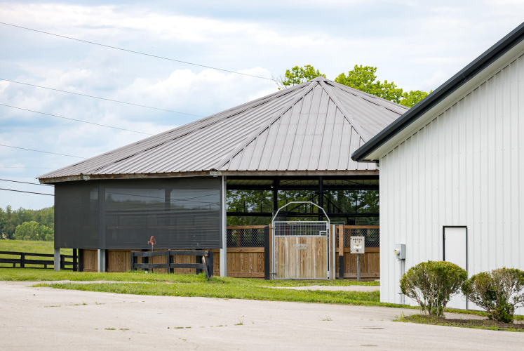 Listing Image 37