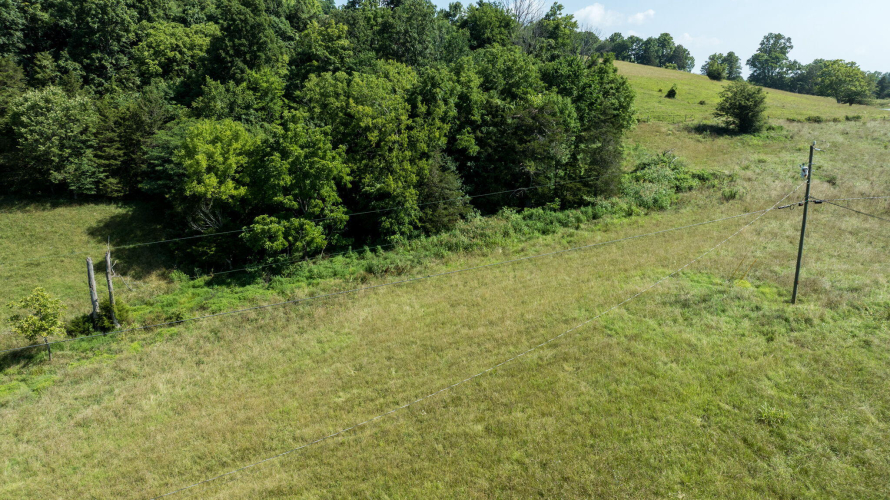 Listing Image 67